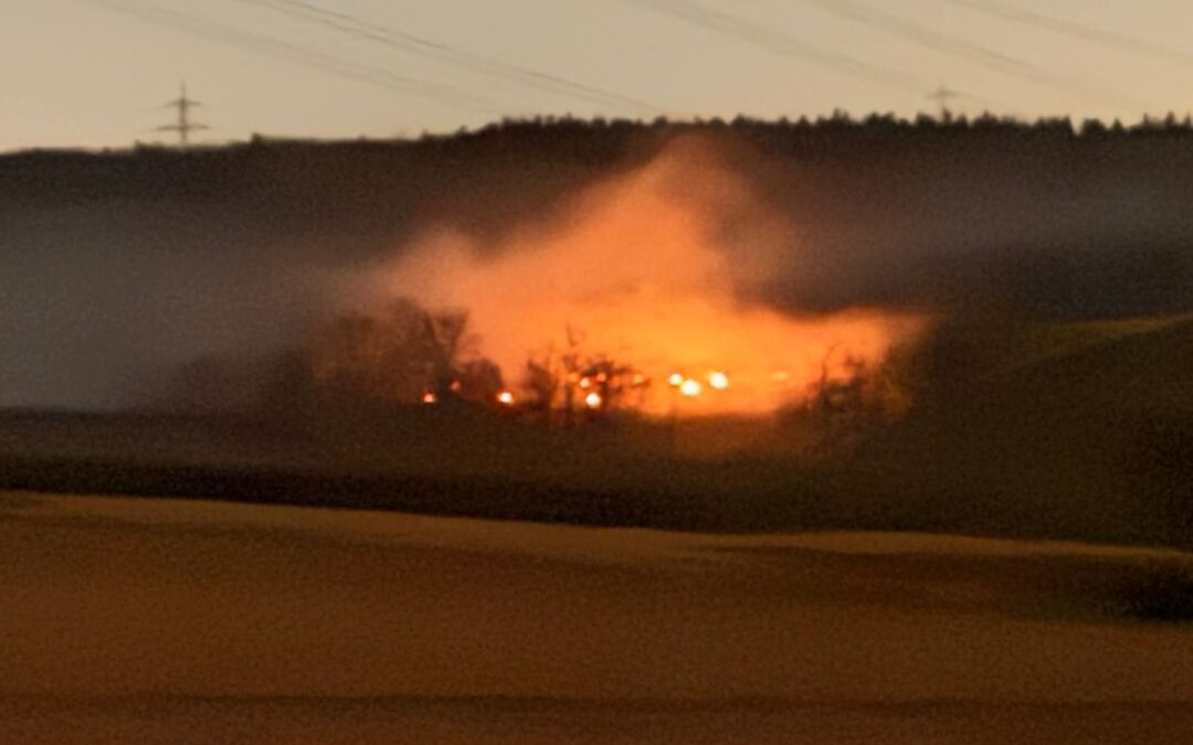 Feuer/​Rauch am Waldrand – Gewann “Über dem Baumbach”